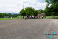 JS 2019 06 15 0056