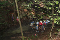 img 4867