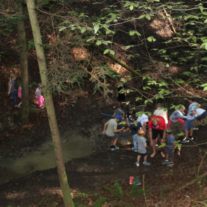 img 4867